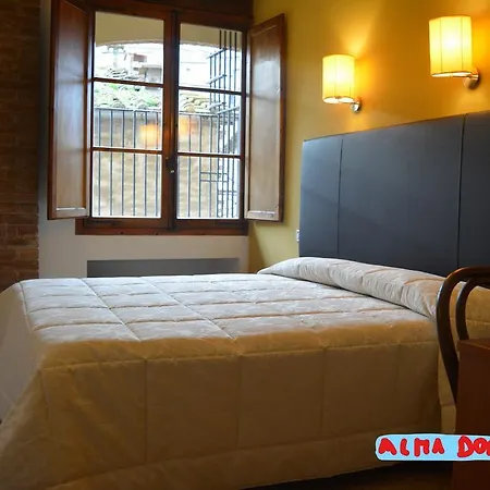 Hotel Alma Domus Siena